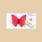 Butterflies - Original