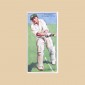 Cricketers 1930 - Original