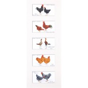 Poultry - Original