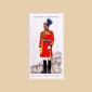 The Military Uniform of the British Empire Overseas - Original