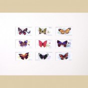 Butterflies - Original
