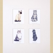 Cats