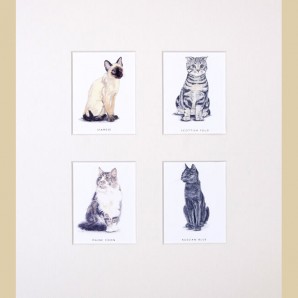 Cats