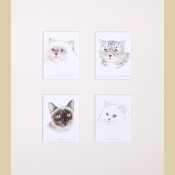 Cats 2