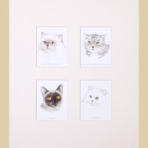 Cats 2