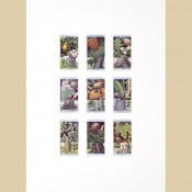 Flowering Trees and Shrubs - Original