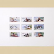 Game Birds and Wild Fowl - Original