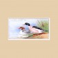 Game Birds and Wild Fowl - Original