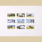 Horsemanship - Reproduction