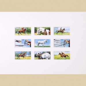 Horsemanship - Reproduction