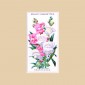 Old English Garden Flowers