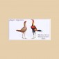 Poultry - Original