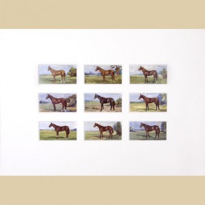 Prominent Racehorses - Reproduction