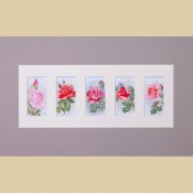 Roses - Original 