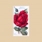 Roses - Original 2