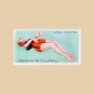 How to Swim - Original