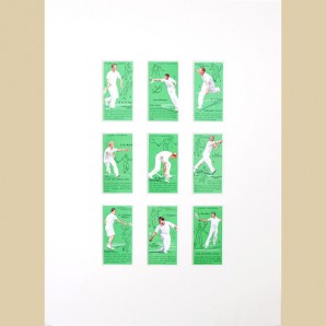 Tennis - Reproduction