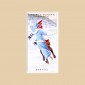 Winter Sports - Original